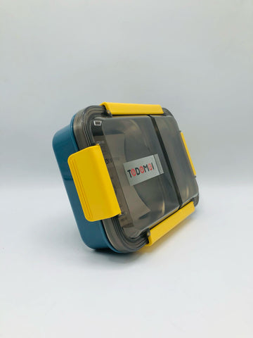 Tedemei Stainless Stell Lunch Box, Good Capacity 2 Compartments, Plastic Leak-Proof Food Container