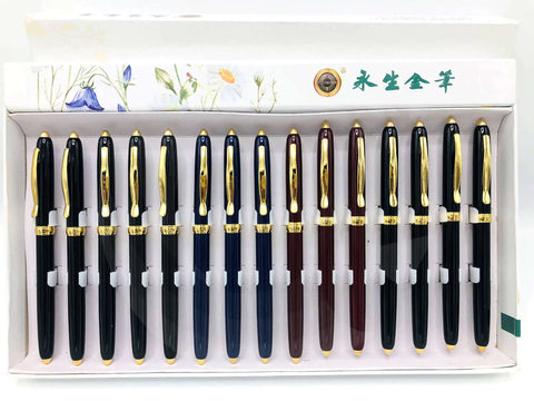 Fountain Pen Student Ink Pen