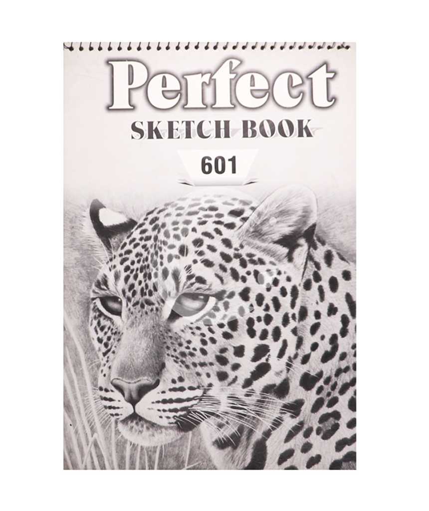 Buy Perfect Pp Sketch Book A3 601 20 Sheets Of 120 g CopyPencil.pk