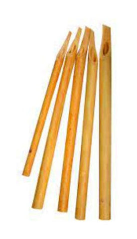 Gold Star Bamboo Qalam Set of 5 Calligraphy Qalam