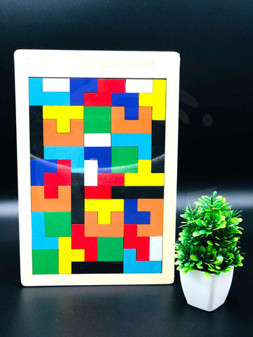 Wooden Puzzle Colorful Intelligence Block Puzzle | Blocks Game Toys | Educational Toys for Kids